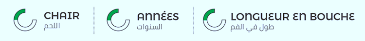 Fine de Claire Verte oysters Marennes Oléron Geay producer breeder